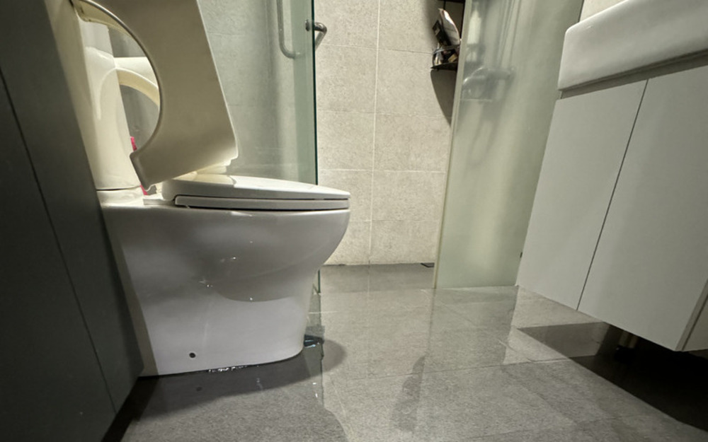 Toilet diamond coating on bathroom floors